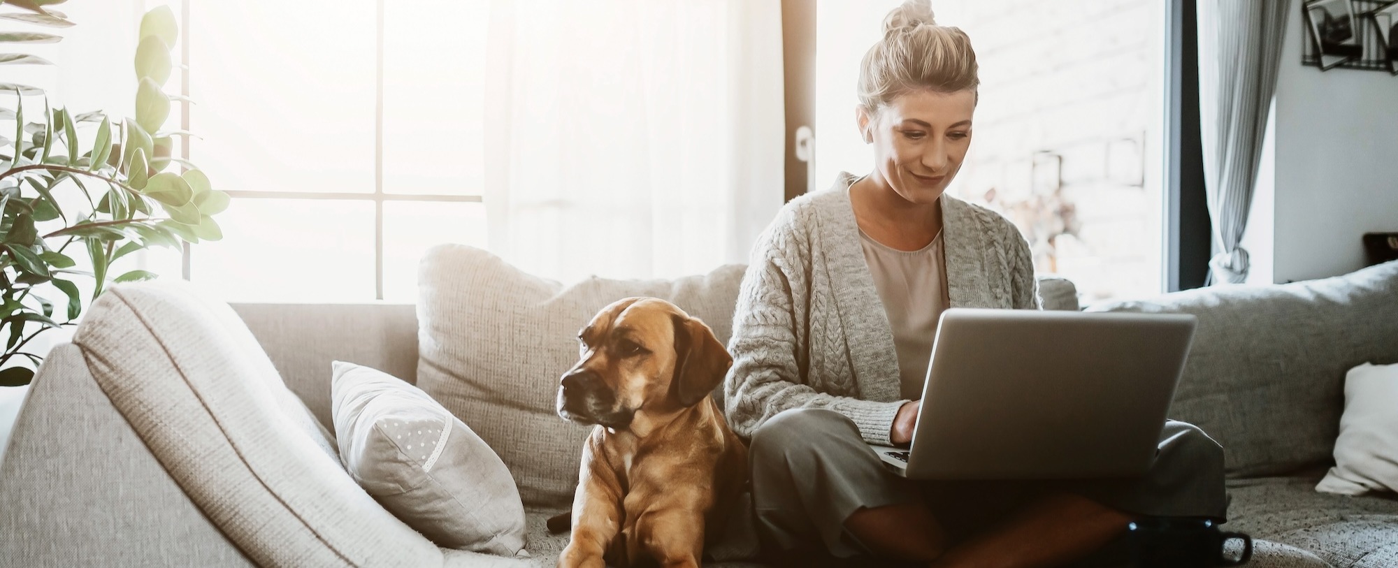 lady-and-dog-computer